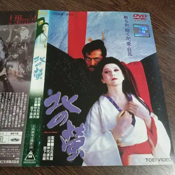 북쪽의 반딧불이 나카다이 타츠야 주연 이와시타 시마 DVD 도에이 비디오