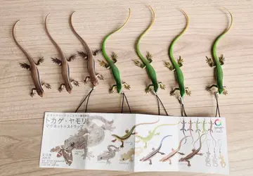 네이처 테크니컬러 MONO 도마뱀 도마뱀 묶음 판매