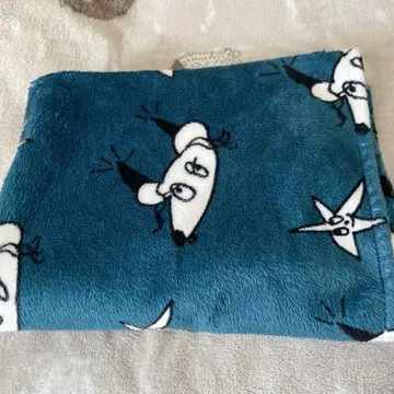 이욘지 굿즈 담요