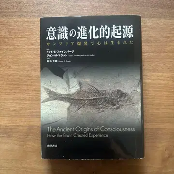 의식의 진화적 기원 : 캄브리아기 대폭발로 마음은 태어났다