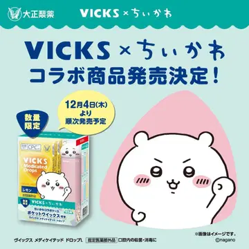 VICS와 치이카와 콜라보 토끼