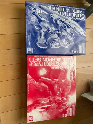 MG 건담 아스트레아 2체 세트