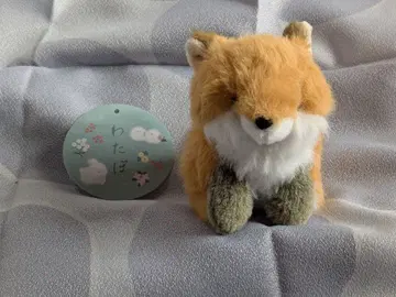 와타포 봉제 인형 키타키츠네