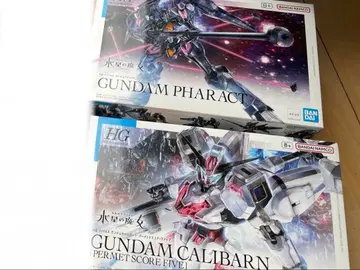 HG 1/144 건담 칼리버 파렉트