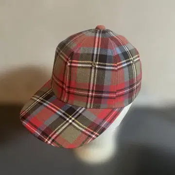 체크 무늬 캡