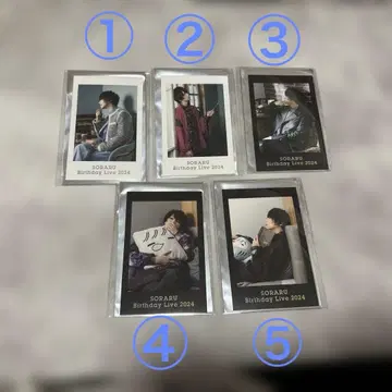 소라루 폴라로이드 하늘 축제