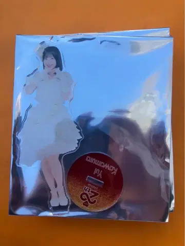 카와무라 유이 AKB48 SPECIAL 복권 아크릴 스탠드 일본 무도관