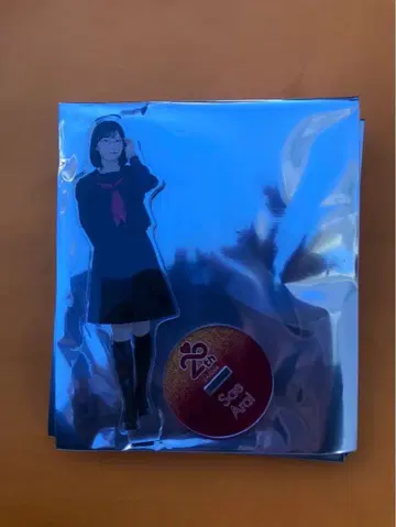 아라이 나기 AKB48 SPECIAL 복권 아크릴 스탠드 일본 무도관