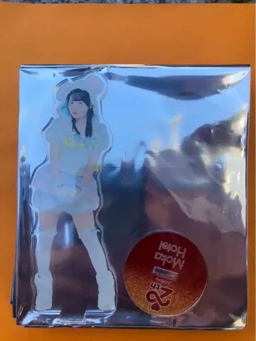 호테이 모모카 AKB48 SPECIAL 복권 아크릴 스탠드 일본 무도관
