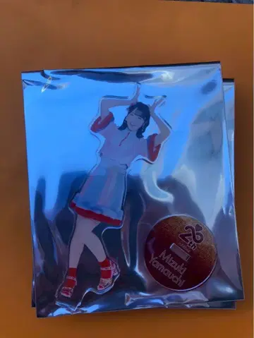 야마우치 미즈키 AKB48 SPECIAL 복권 아크릴 스탠드 일본 무도관