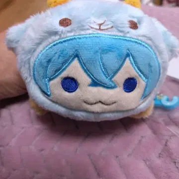 스토푸리 코론 펜 케이스 파우치