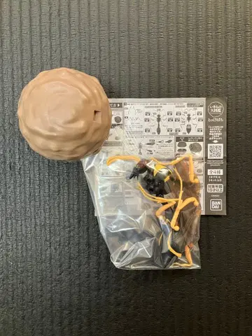 생물 대도감 병정벌