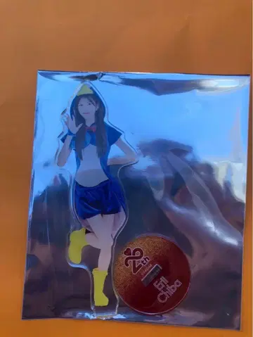 치바 에리 AKB48 SPECIAL 복권 아크릴 스탠드 일본 무도관