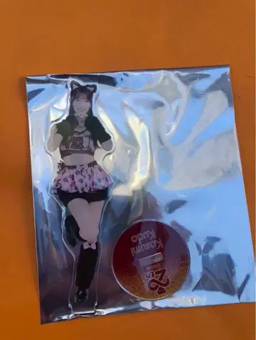 쿠도 카스미 AKB48 SPECIAL 복권 아크릴 스탠드 일본 무도관