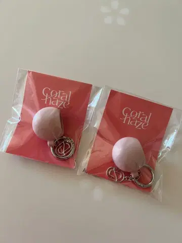 [미개봉 새상품] 코랄 헤이즈 범규 실리콘 캡 키링