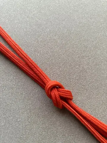 허리띠 도묘 관조 주 오렌지