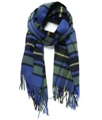 단종 레어 존스톤즈 에스트네이션 별주 대형 스톨 엘리뱅크