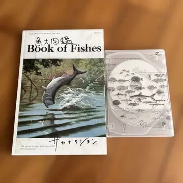 사카낙션 베스트 앨범 어도감