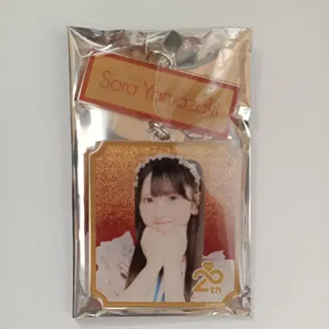 AKB48 SPECIAL 복권 야마자키 소라 2연 아크릴 키링 무도관