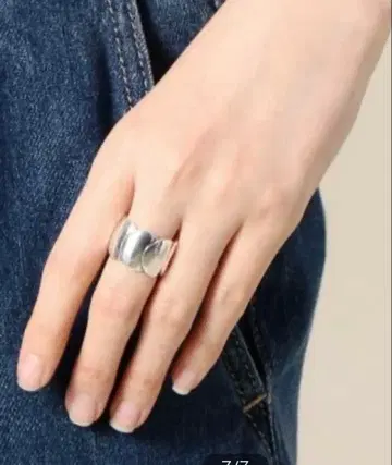 PHILIPPEAUDIBERTCESAR PASTILLE 실버 컬러링