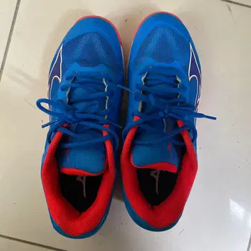 테니스화 파랑/빨간색 남성용 25cm