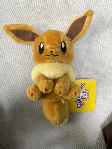 포켓몬 센터 포켓몬fit 이브이