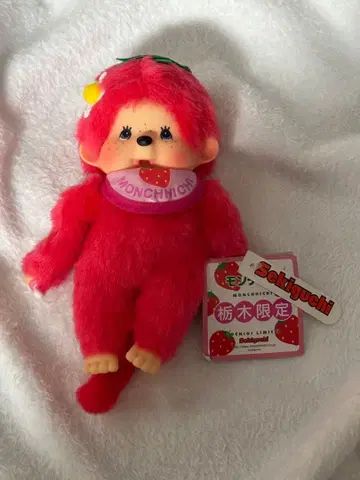 약 19cm 이치고 몬치치 도치기 한정판 지역 한정 몬치치