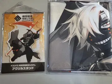 컴퍼스 서틴 아크릴 스탠드 & 천 포스터