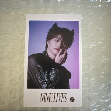 NINE LIVES 초특급 사진 4장 세트