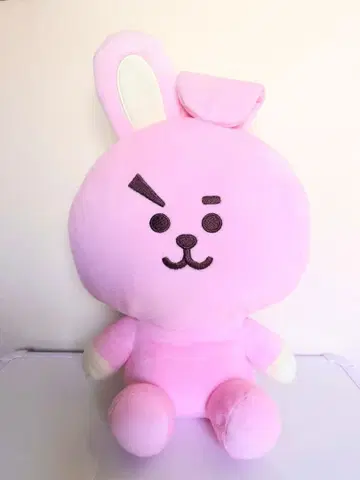 BT21 쿠키 봉제 인형