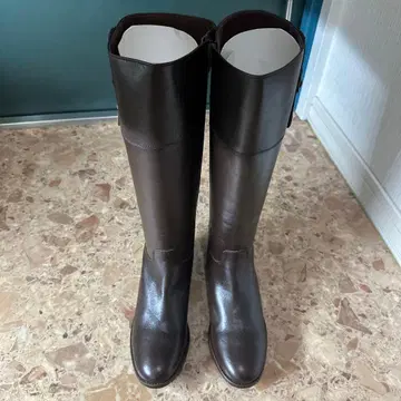 Dixsept Dixsept 1717 지퍼 달린 롱 부츠 미사용 새상품