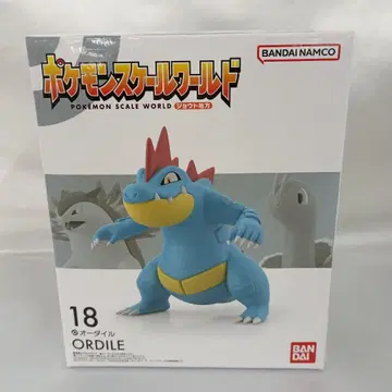 포켓몬 스케일 월드 조토지방 아쿠스타