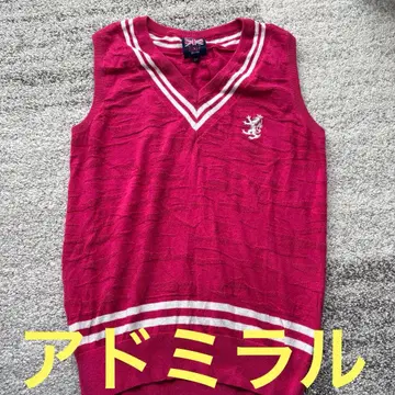 여성용 V넥 빨간색 베스트