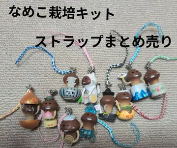 만지작 탐정 버섯 재배 키트 지역 한정 스트랩 묶음 판매