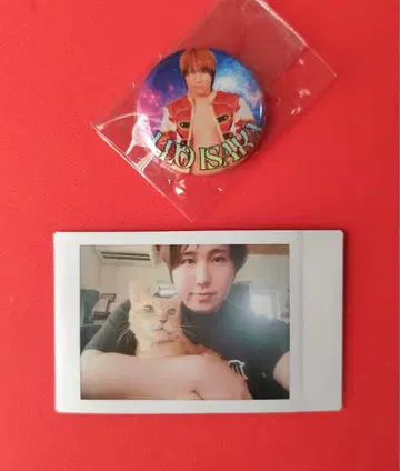 이사카 레오 폴라로이드&캔뱃지/캔뱃지 마블러스 프로레슬링