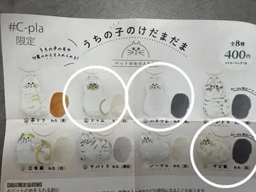 우리 아이 털뭉치 3세트