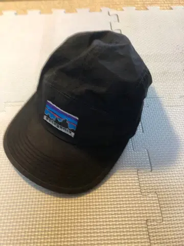 Patagonia 캡
