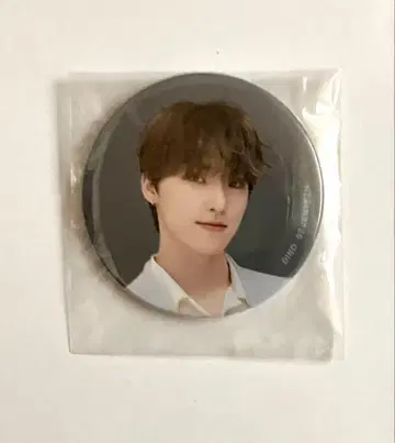 SEVENTEEN 디노 HARE 캔뱃지