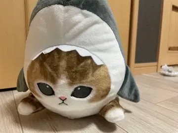 mofusand 샤크냥 봉제 인형