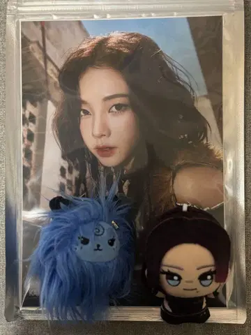 aespa 카리나 굿즈 묶음 판매