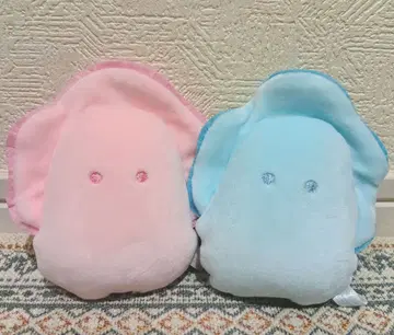 동그란 눈의 생굴 페어 컬러 전 2종 세트