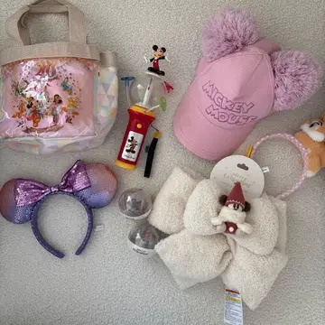 릴린린 묶음 판매 디즈니랜드