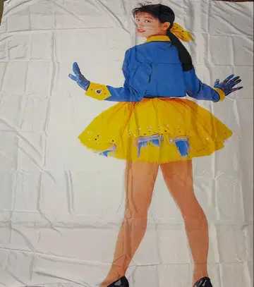 모리타카 치사토 태피스트리 벽걸이 커튼 이불 새상품 17살 아이돌