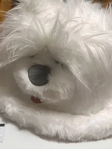 디즈니 인어공주 맥스 모자