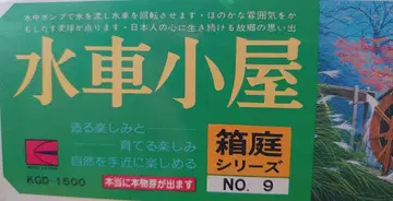 MODEL KAWAI 물레방앗간