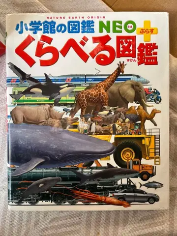 도감 세트 소학관 전 6권