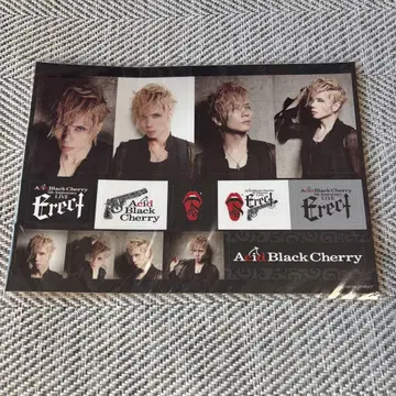 Acid Black Cherry 스티커 Erect ABC 굿즈 새상품