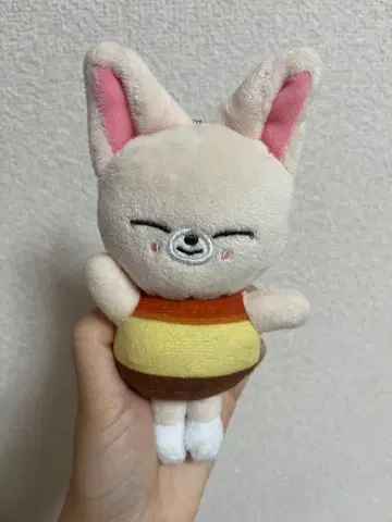 SKZOO Foxi.Ny 봉제 인형 푸딩