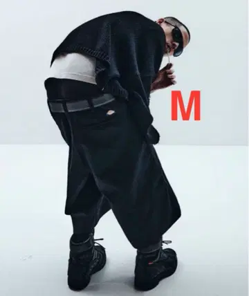 Dickies x FUTURE ARCHIVE BAGGY SHORTS M