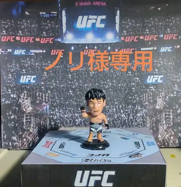 프로 격투 히어로즈 다이라 타츠로 2체 세트 복싱 피규어